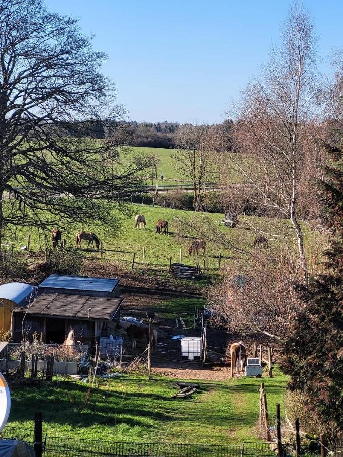 Ferienwohnung Classen Eifel Schleiden Luaran gambar