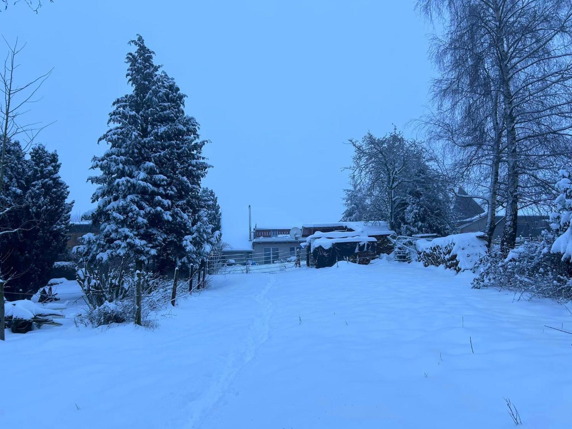 Ferienwohnung Classen Eifel Schleiden Luaran gambar